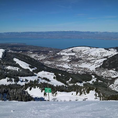 Appartement T2 A Bernex Avec Wifi, Vue Sur Montagne Екстериор снимка