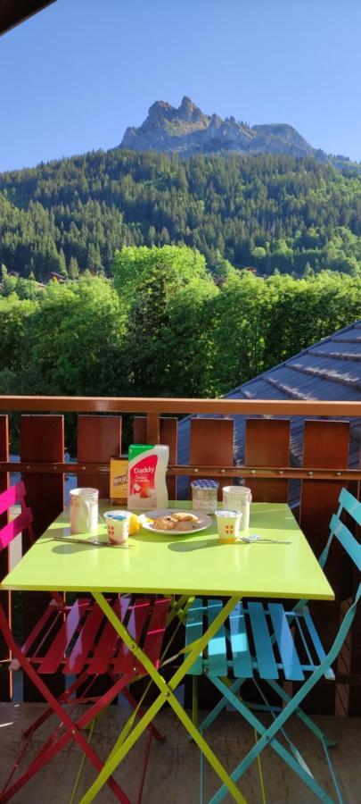 Appartement T2 A Bernex Avec Wifi, Vue Sur Montagne Екстериор снимка
