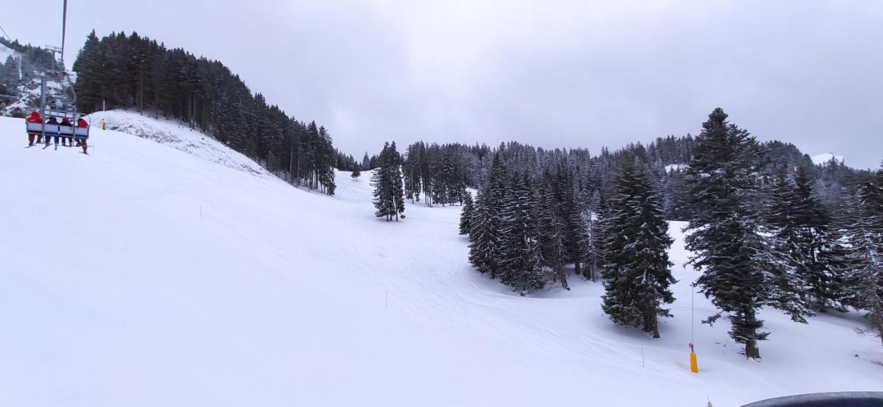 Appartement T2 A Bernex Avec Wifi, Vue Sur Montagne Екстериор снимка